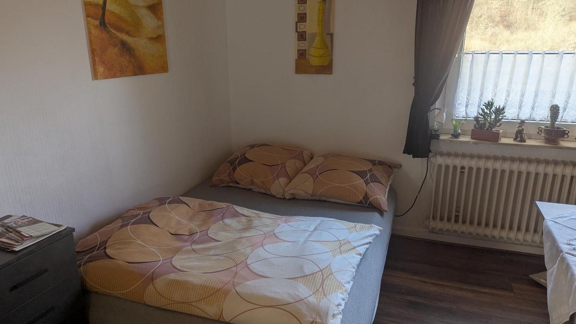 Ferienwohnung Mit Terrasse Fuer 1-4 Personen Altena Exterior foto